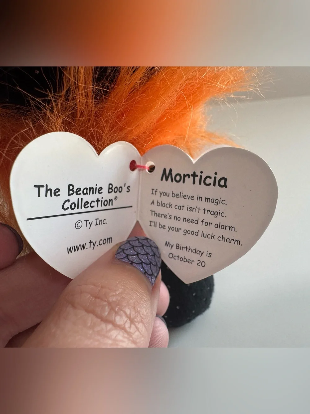 Ty Beanie Boo Morticia Black Cat 7”